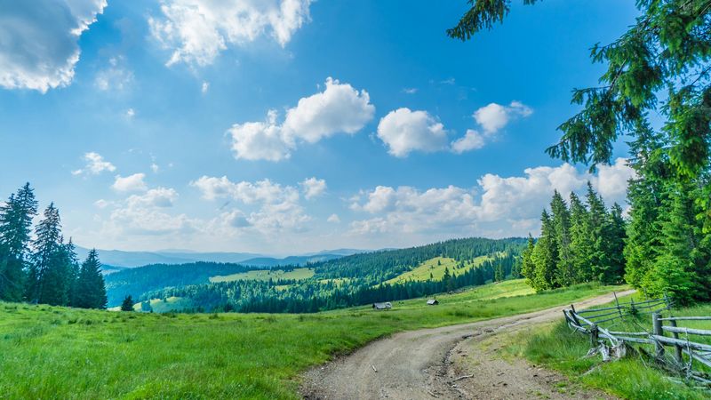 Bucovina
